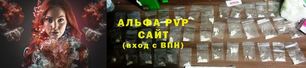 индика Киренск