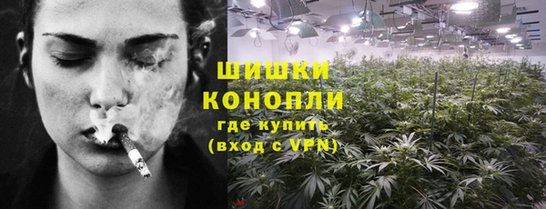 индика Киренск