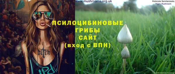 мдпв Козловка